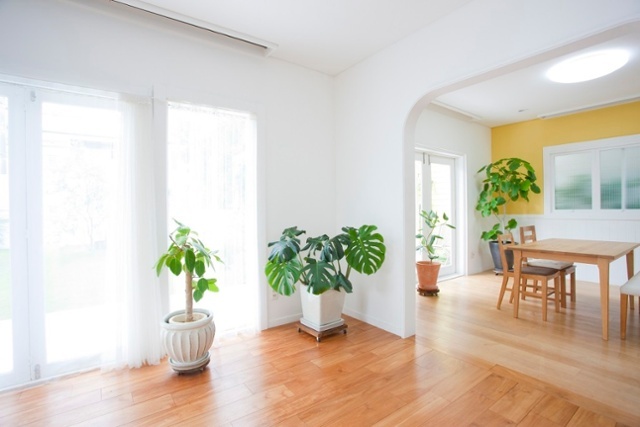 Polyurethane and environmental agents