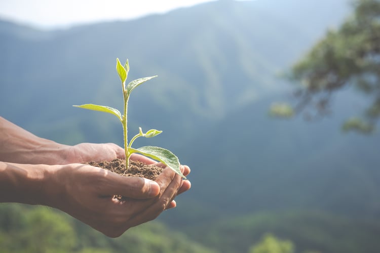 Gamme BIO-HOOPOL : l'engagement de Synthesia en faveur de la durabilité